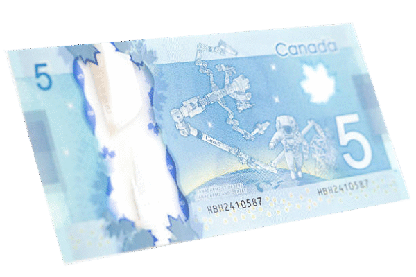 5 Canadian dollar bills - Image 2